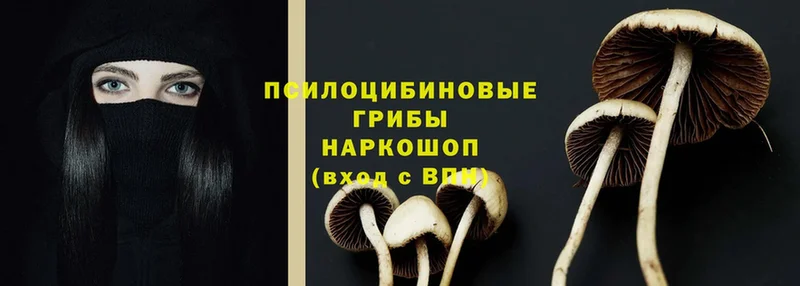 Псилоцибиновые грибы Magic Shrooms  хочу наркоту  Кострома 